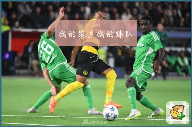 我的家乡我的球队