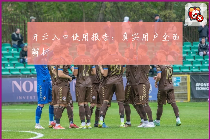 开云入口使用报告，真实用户全面解析