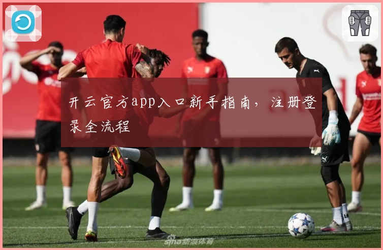 开云官方app入口新手指南，注册登录全流程