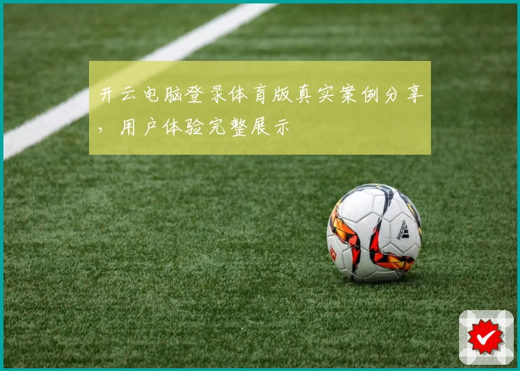 开云电脑登录体育版真实案例分享，用户体验完整展示